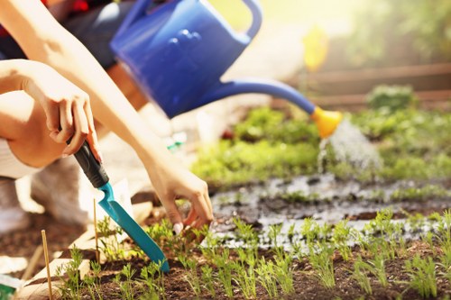 Professional garden clearance service in Harrow