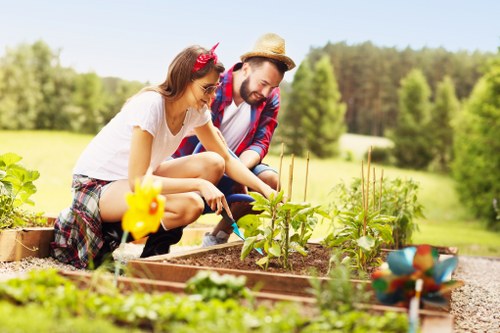 Seasonal lawn care practices