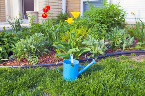 Expert pruning and trimming services