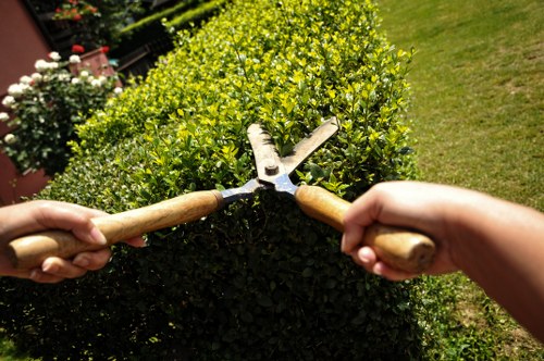 Professional landscaper planning garden design in Harrow
