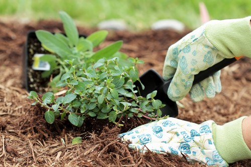 Environmental practices with mulch and composting on site
