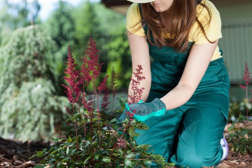 Choosing the right tree service in Harrow