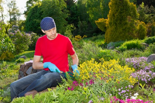 Tools and equipment for garden maintenance