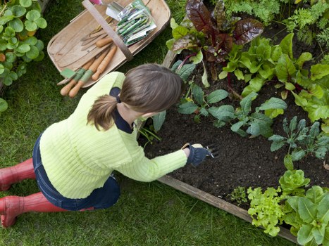 Gardeners Harrow team discussing a project