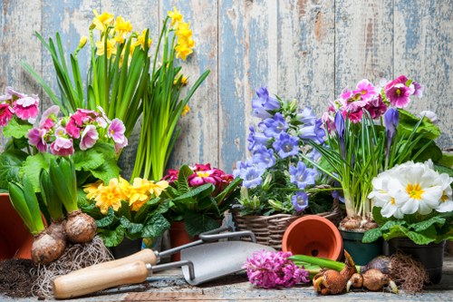 Autumn garden preparation with colorful leaves